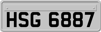 HSG6887