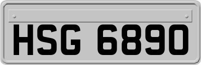 HSG6890