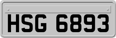 HSG6893