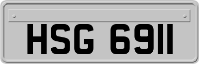 HSG6911