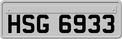 HSG6933