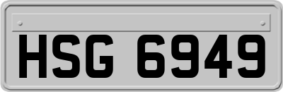 HSG6949