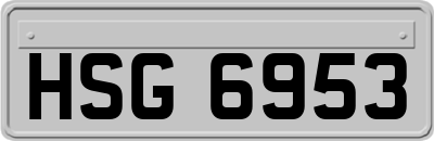 HSG6953
