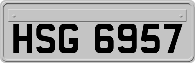 HSG6957