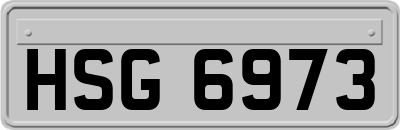 HSG6973