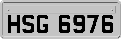 HSG6976