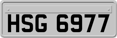 HSG6977