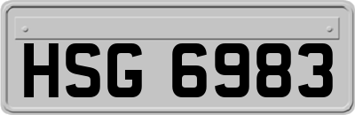 HSG6983