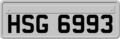 HSG6993