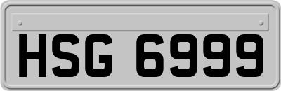 HSG6999