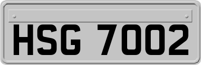 HSG7002