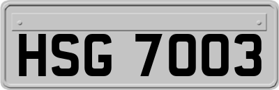HSG7003
