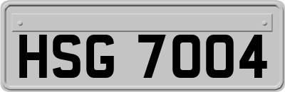 HSG7004