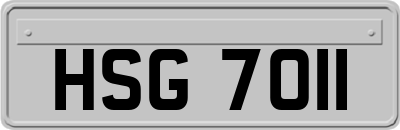 HSG7011