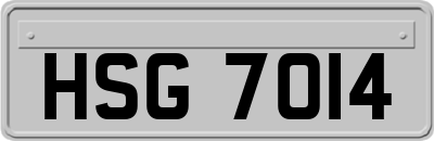 HSG7014