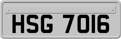 HSG7016