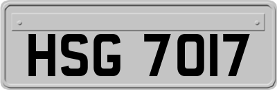 HSG7017