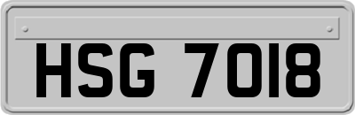 HSG7018
