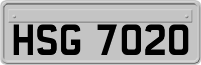 HSG7020