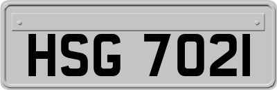 HSG7021