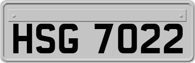 HSG7022
