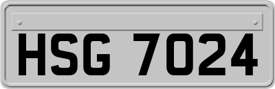 HSG7024