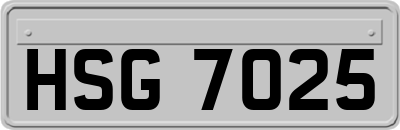 HSG7025