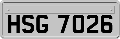 HSG7026