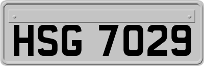 HSG7029