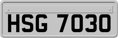 HSG7030