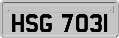 HSG7031