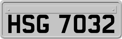 HSG7032