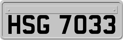 HSG7033
