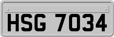 HSG7034