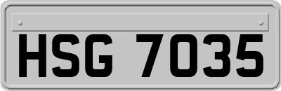 HSG7035