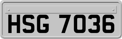 HSG7036
