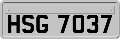 HSG7037