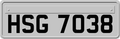 HSG7038