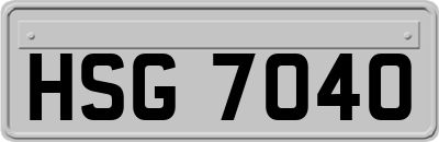 HSG7040