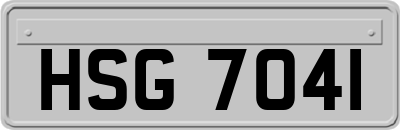 HSG7041
