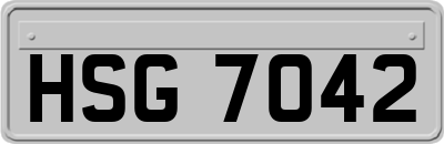 HSG7042