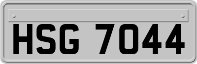 HSG7044