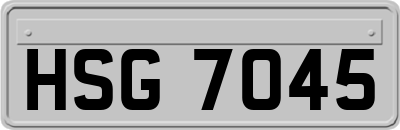 HSG7045