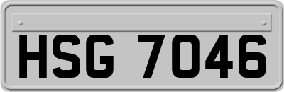 HSG7046