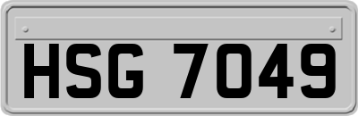HSG7049