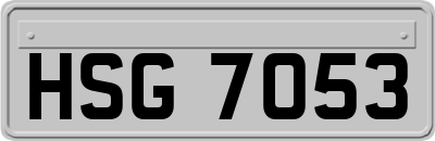 HSG7053