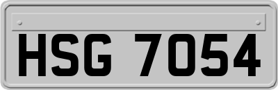 HSG7054