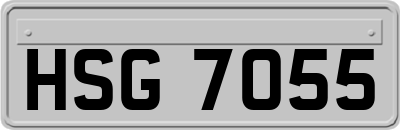 HSG7055