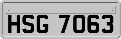 HSG7063