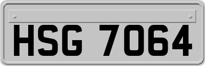 HSG7064